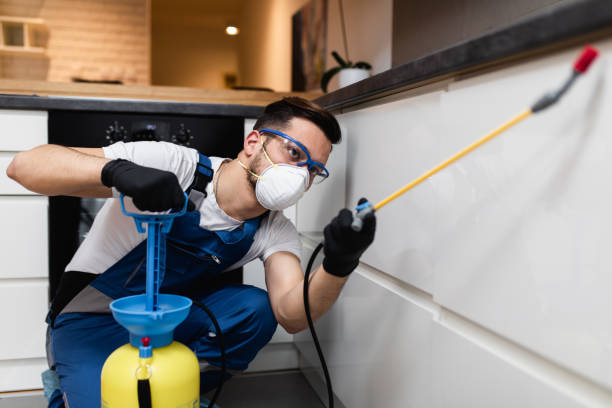 Reliable Echelon, NJ Pest Control Solutions