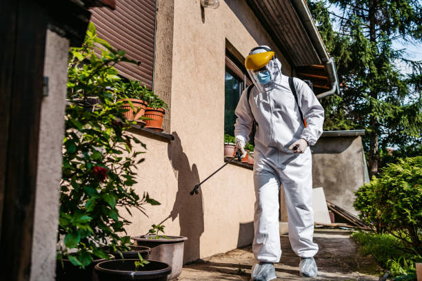 Best Emergency Pest Control  in Echelon, NJ