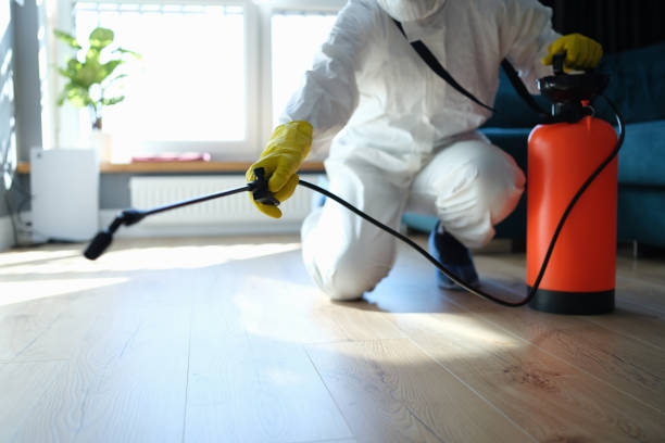 Best Pest Removal Services  in Echelon, NJ