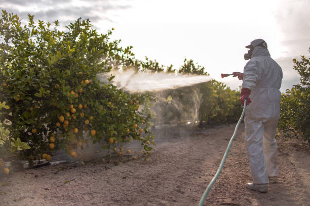 Best Local Pest Control Services  in Echelon, NJ