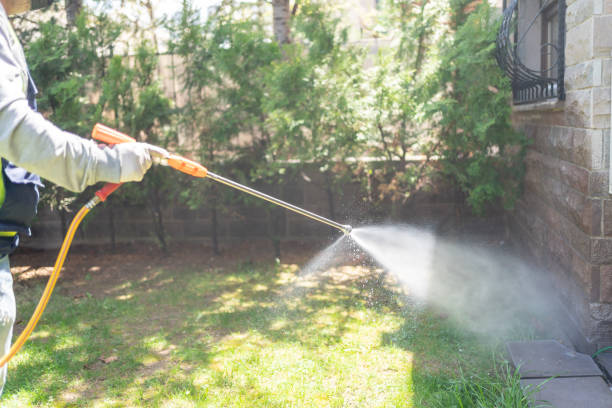 Best Mosquito Control Services  in Echelon, NJ