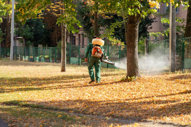 Best Cockroach Control Services  in Echelon, NJ